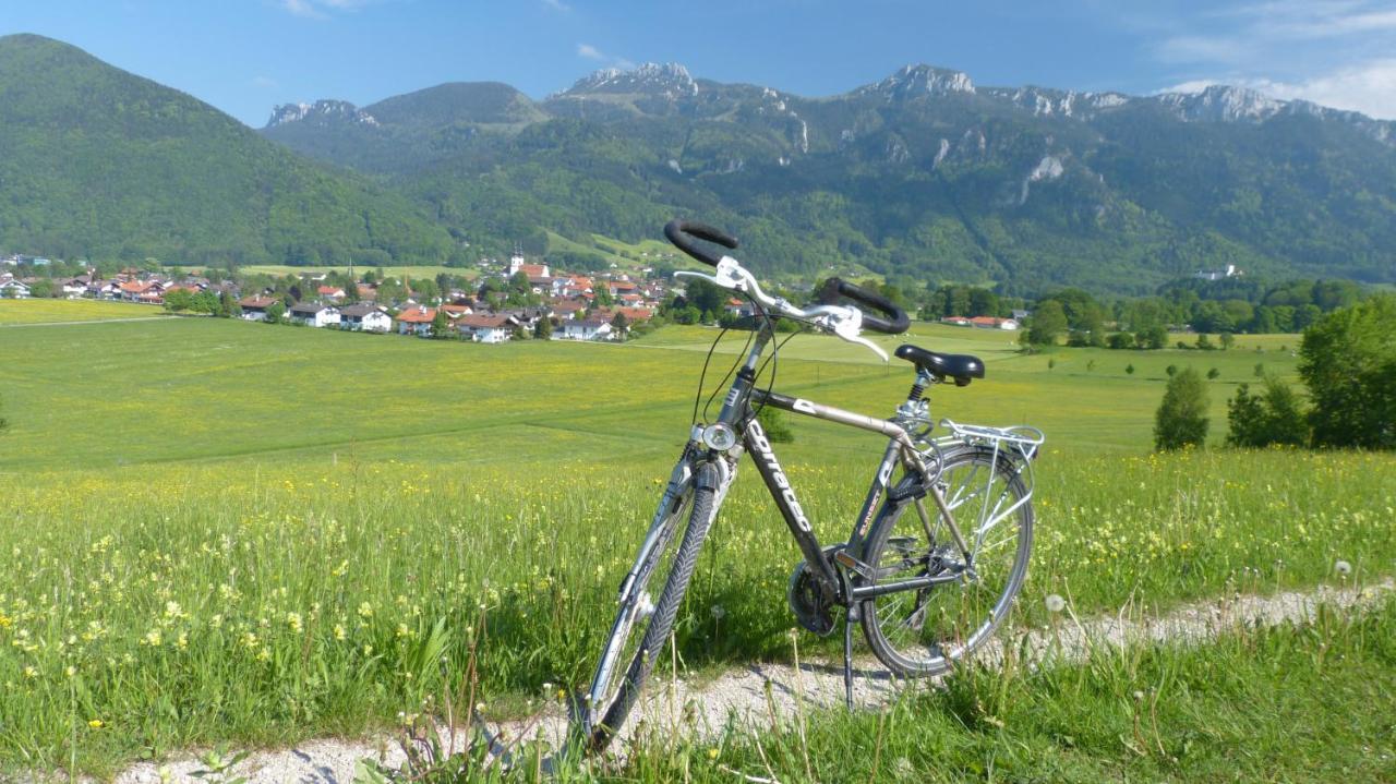 Wirtshaus Zum Baumbach Hotel Aschau im Chiemgau Exterior foto